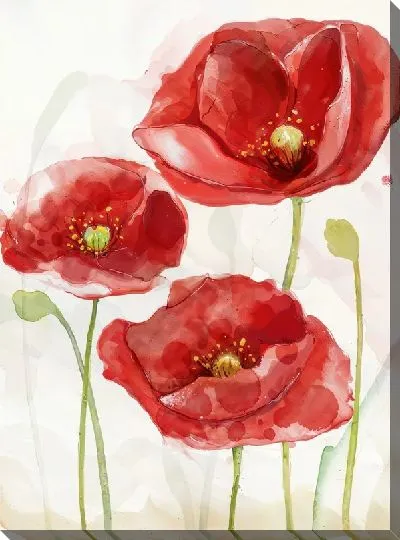 Картина маслом Маки №127