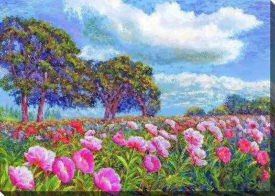 Картина маслом Маки №128