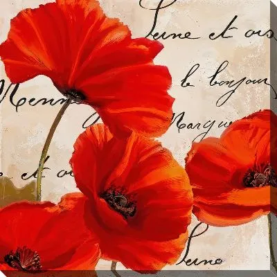 Картина маслом Маки №131