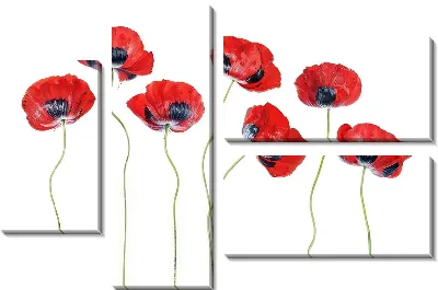 Модульная картина Маки №132