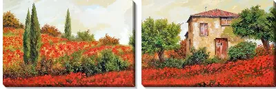 Модульная картина Маки в Тоскане №138