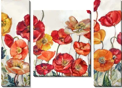 Модульная картина Маки №144