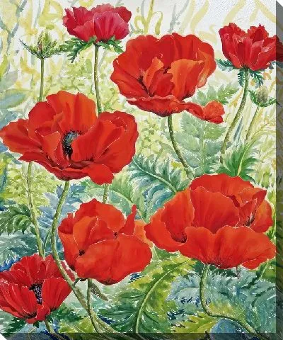 Картина маслом Маки №164