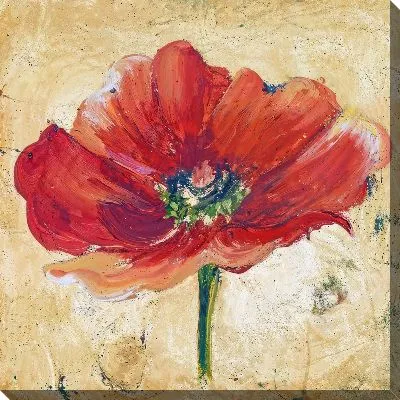 Картина маслом Маки №168