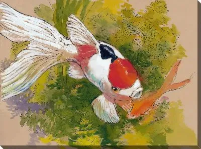 Постер Золотая рыбка №56