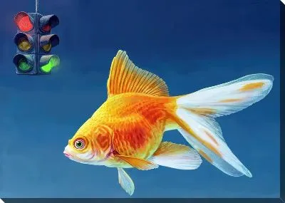 Золотая рыбка №61