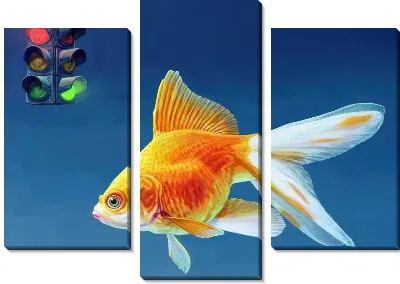 Золотая рыбка №61