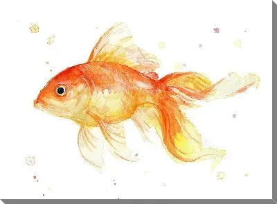 Картина маслом Золотая рыбка №66