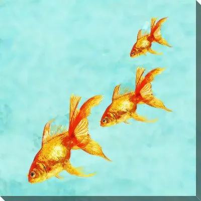 Постер Золотые рыбки №20