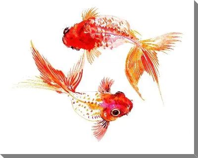 Золотые рыбки №21