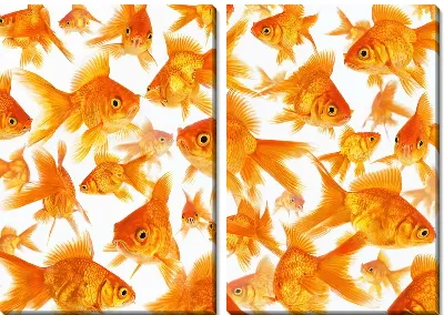 Модульная картина Золотые рыбки №26