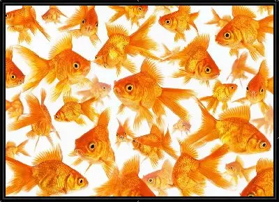 Картина Золотые рыбки №26