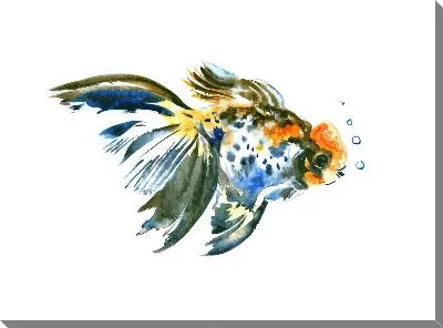 Постер Золотая рыбка №78