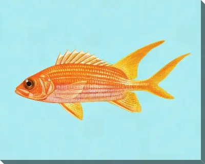 Картина маслом Золотая рыбка №82