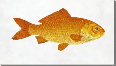 Картина маслом Золотая рыбка №84