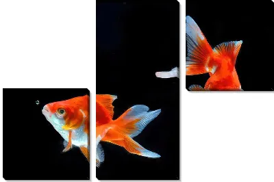Модульная картина Золотые рыбки №42