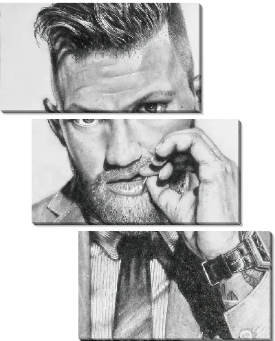 Модульная картина Конор Макгрегор №13