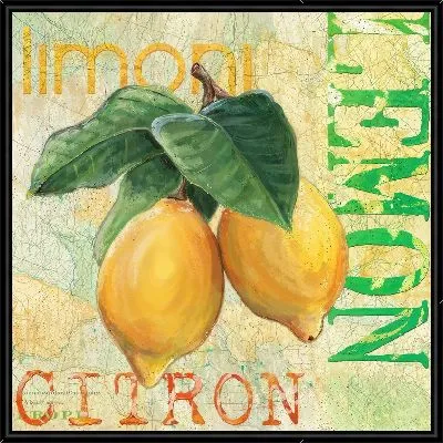 Два лимона в стиле винтаж