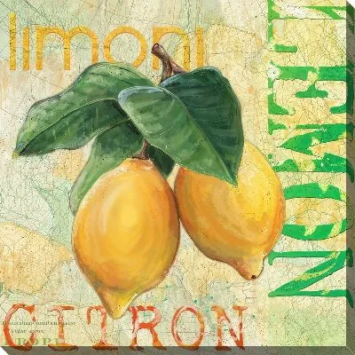 Два лимона в стиле винтаж