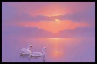 Два лебедя на закате