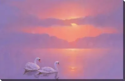 Два лебедя на закате