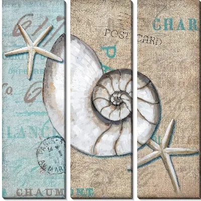 Модульная картина Ракушка в стиле винтаж №11