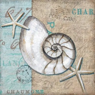 Плакат Ракушка в стиле винтаж №11