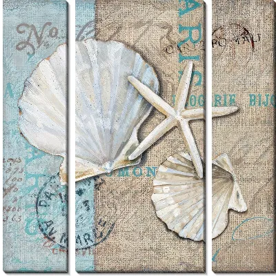 Модульная картина Композиция с ракушками в винтажном стиле