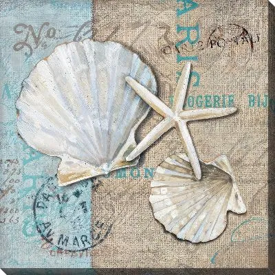 Постер Композиция с ракушками в винтажном стиле