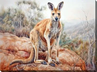 Постер Кенгуру №4