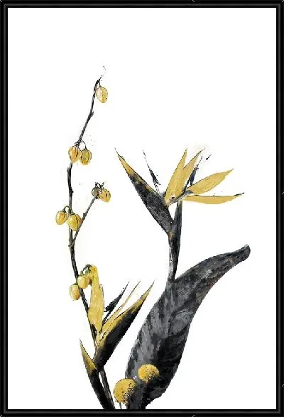 Картина Золотая райская птица