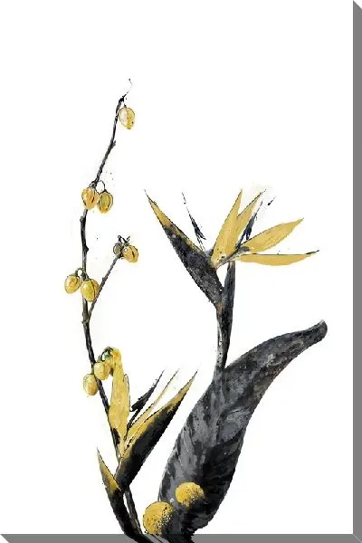 Картина маслом Золотая райская птица