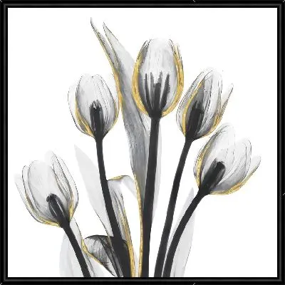 Картина Полупрозрачные тюльпаны №2