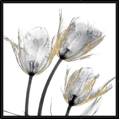 Картина Полупрозрачные тюльпаны №21