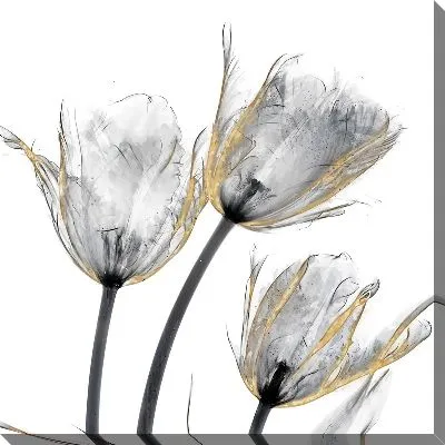 Постер Полупрозрачные тюльпаны №21