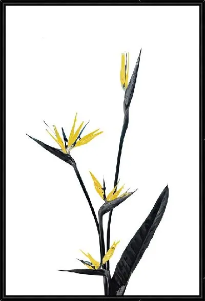 Картина Райская птица с золотыми цветками №2