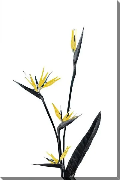 Постер Райская птица с золотыми цветками №2