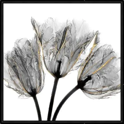 Картина Макро тюльпанов №3