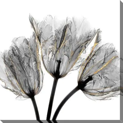 Постер Макро тюльпанов №3