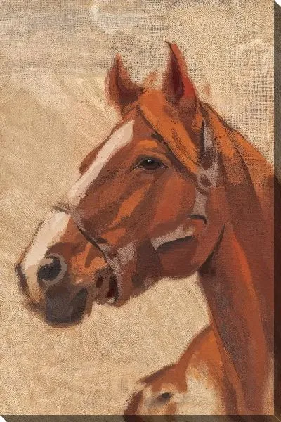 Картина маслом Лошадь №854