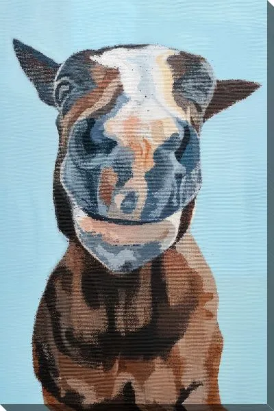 Картина маслом Лошадь №566