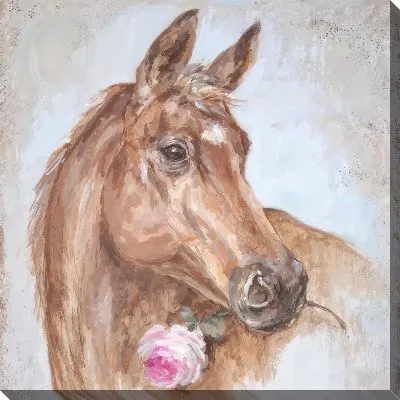 Картина маслом Лошадь №571