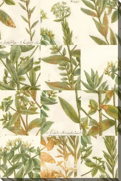 Картина маслом Тропические листья №127