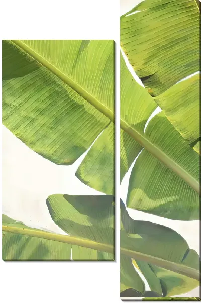 Модульная картина Тропические листья №133