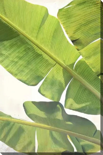 Картина маслом Тропические листья №133