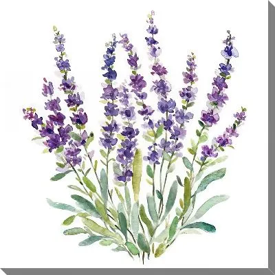 Картина маслом Лаванда №711