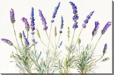Картина маслом Лаванда №81