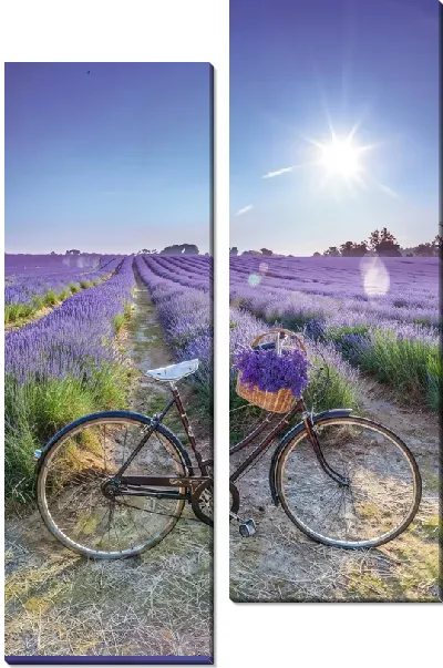 Модульная картина Лаванда №89
