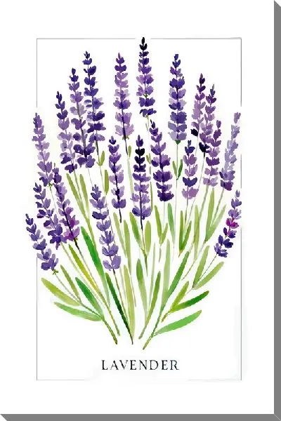 Картина маслом Лаванда №92