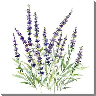 Картина маслом Лаванда №1021